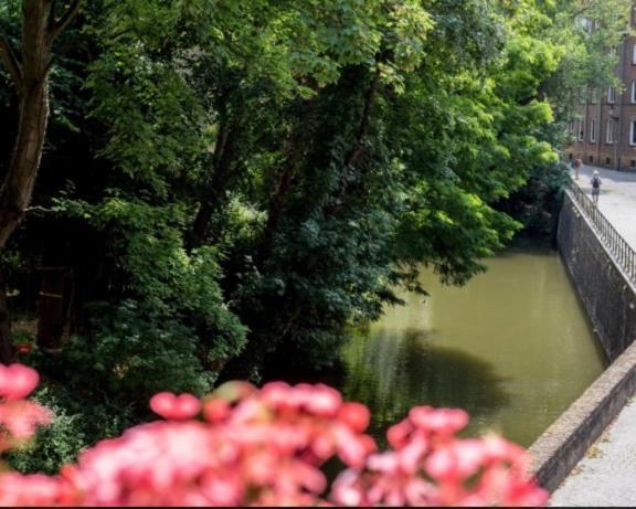 Hotel Entree - Canal View Brugge Ngoại thất bức ảnh